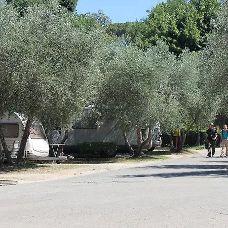 Camping Michelangelo Campsite